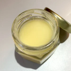 Royal Jelly Van Natuurlijk Westland in Hexa pot 40g